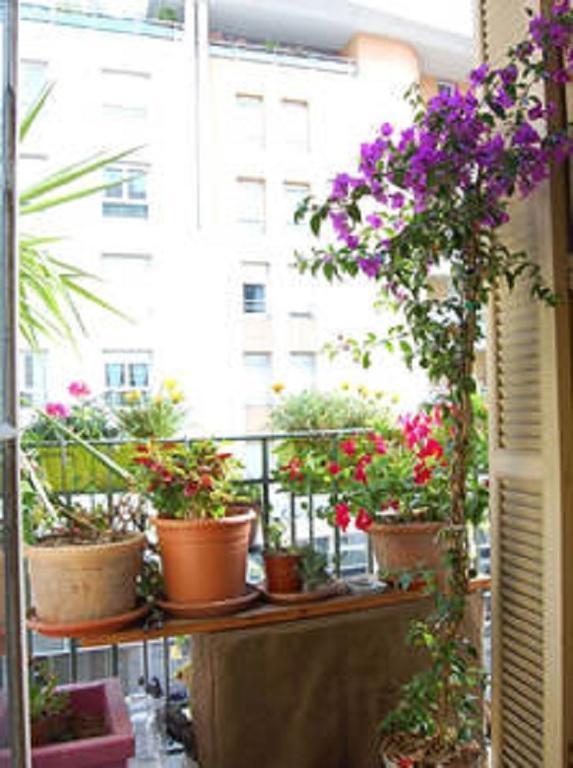 Nissa La Bella Apartment Nice Exterior photo